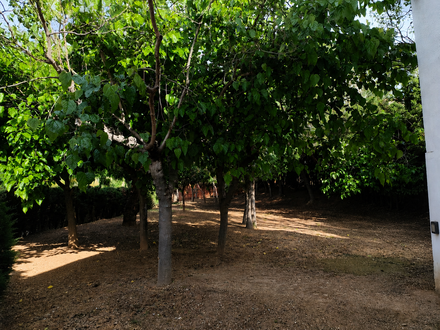 Zona Exterior